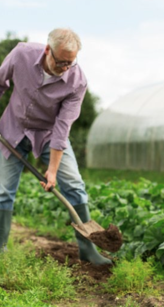 MDB Magazine Template displayed on iPhone